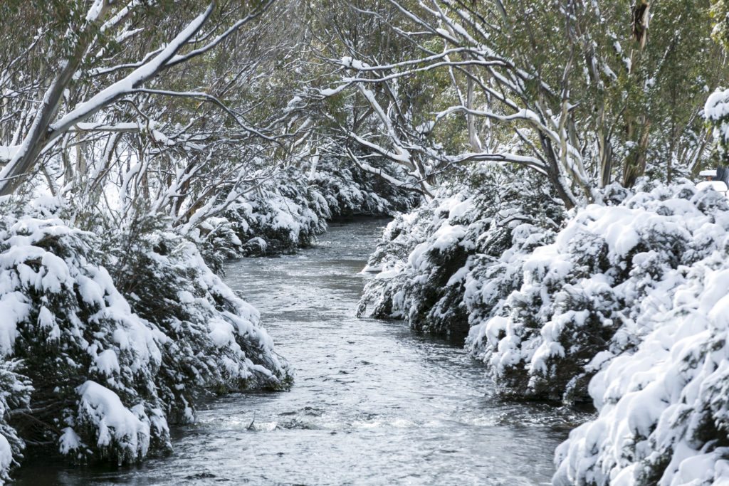 Jindabyne - Canberra Region